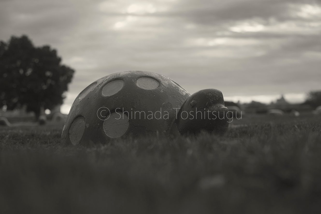 Silent Time