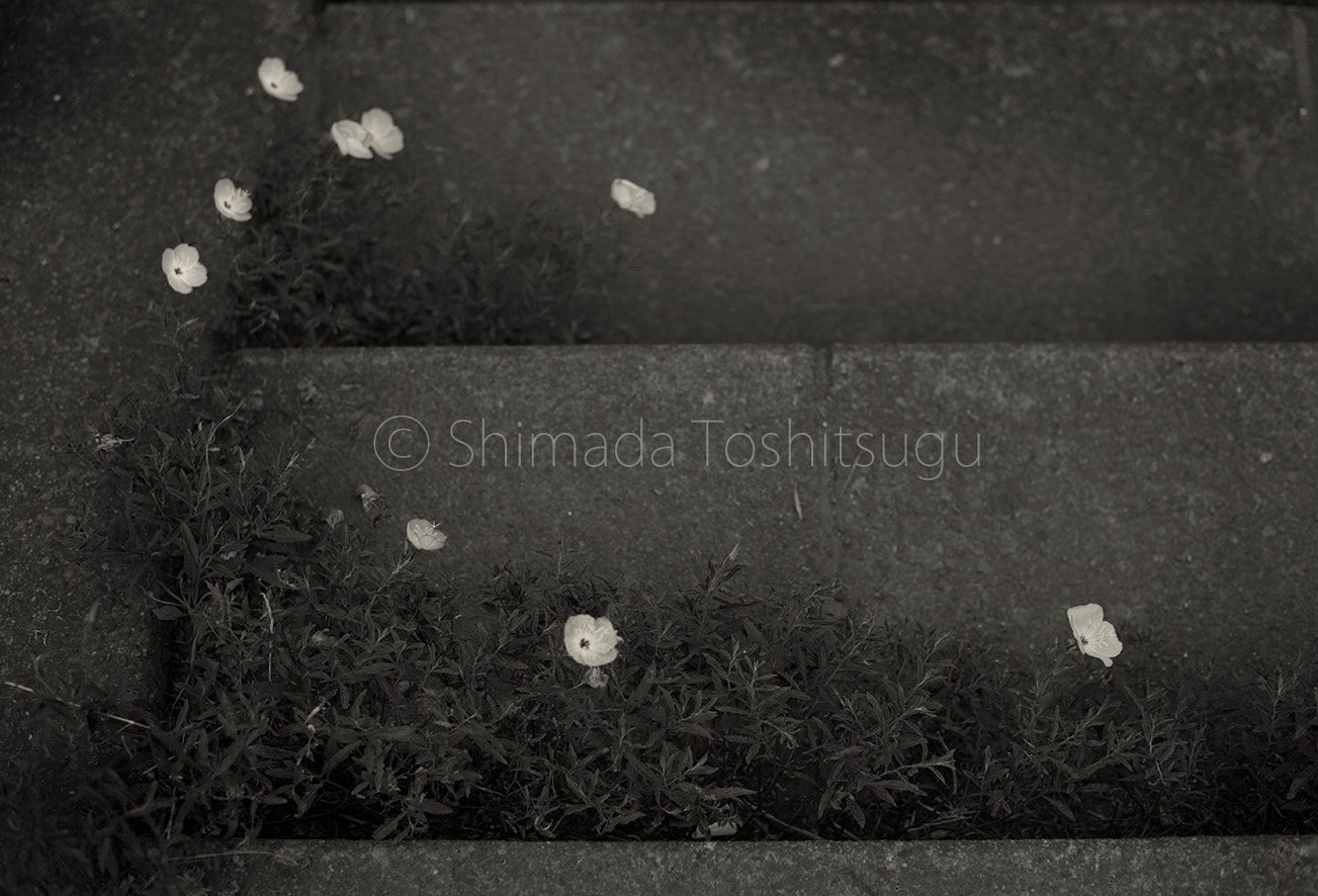 Silent Time