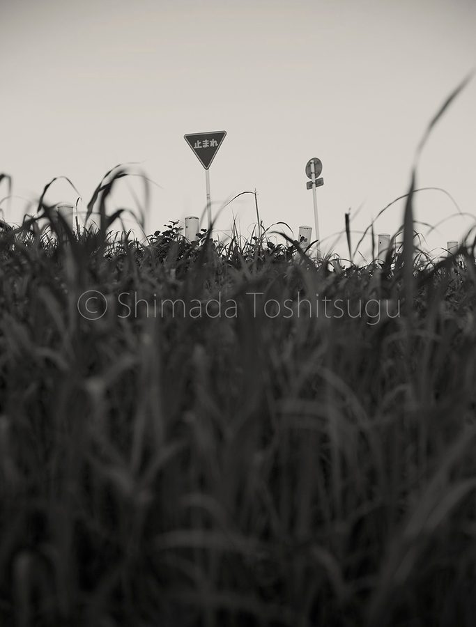 Silent Time