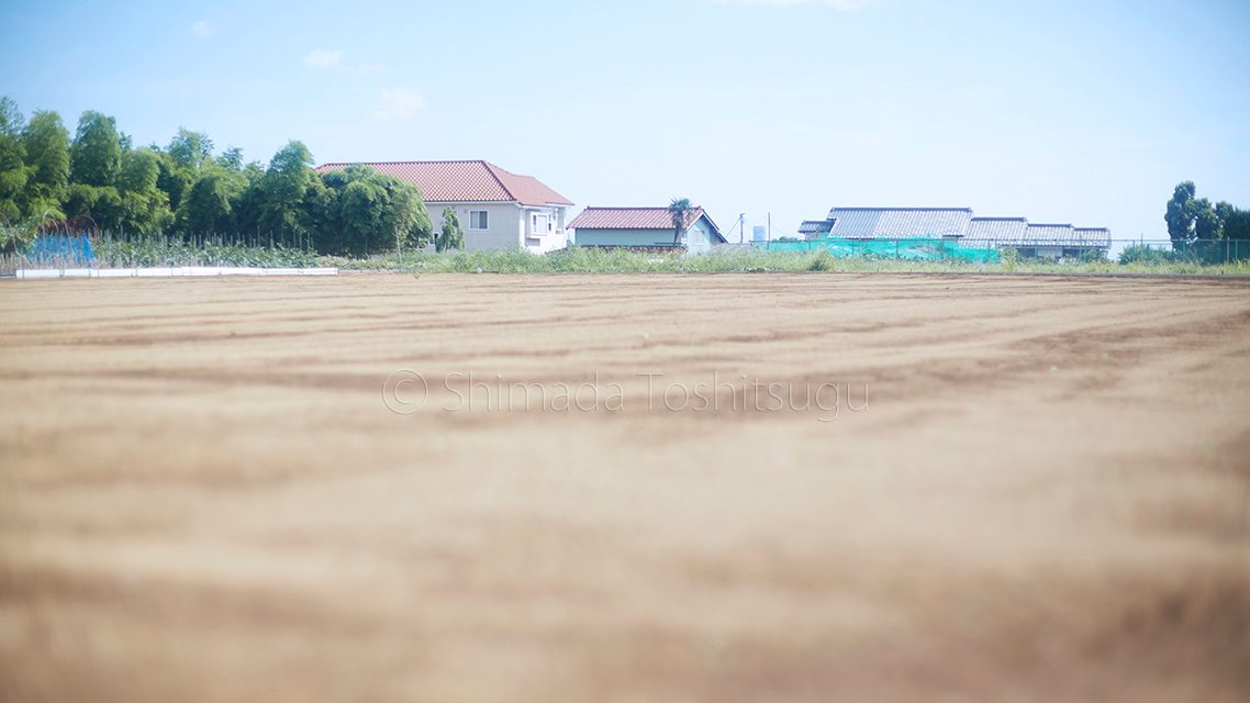 たんたんと、
